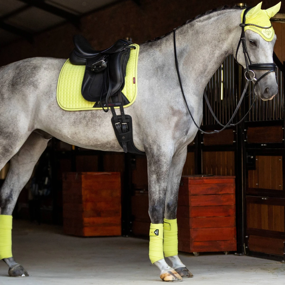 LeMieux Classic Bandages Kiwi 5 LeMieux Classic Bandages Kiwi - Image 3