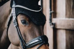Kentucky Glitter Band Soundless Wellington Ear Bonnet Black -Equestrian Supply Store cc30f285c97ac15cfd943e7ab46467f9dfa4690e5303b6a0dfeb51af0e4f9d70