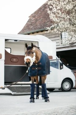 Kentucky Sheepskin Shipping Halter Natural 10 Kentucky Sheepskin Shipping Halter Natural -Equestrian Supply Store de1c07ee2cf6996d4a372aeab15faad108cbcd3db85ee20b178885e3c2a7bdba 3e71bd80 be38 45e7 90c5 9a13c1af2298