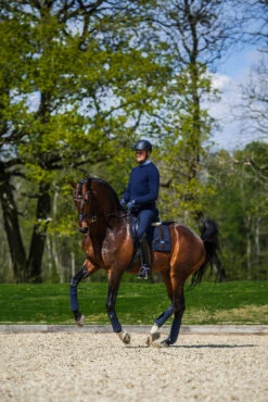 Equestrian Stockholm Dressage Saddle Pad Navy No Boundaries -Equestrian Supply Store dressage saddle pad leather deluxe 4