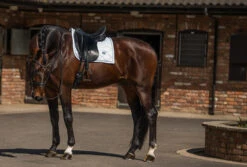 Equestrian Stockholm Bandages White Perfection Silver -Equestrian Supply Store dressage saddle pad white perfection silver