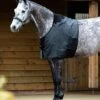 LeMieux Anti Rub Bib 1 LeMieux Anti Rub Bib -Equestrian Supply Store dsc 3387 portrait hr