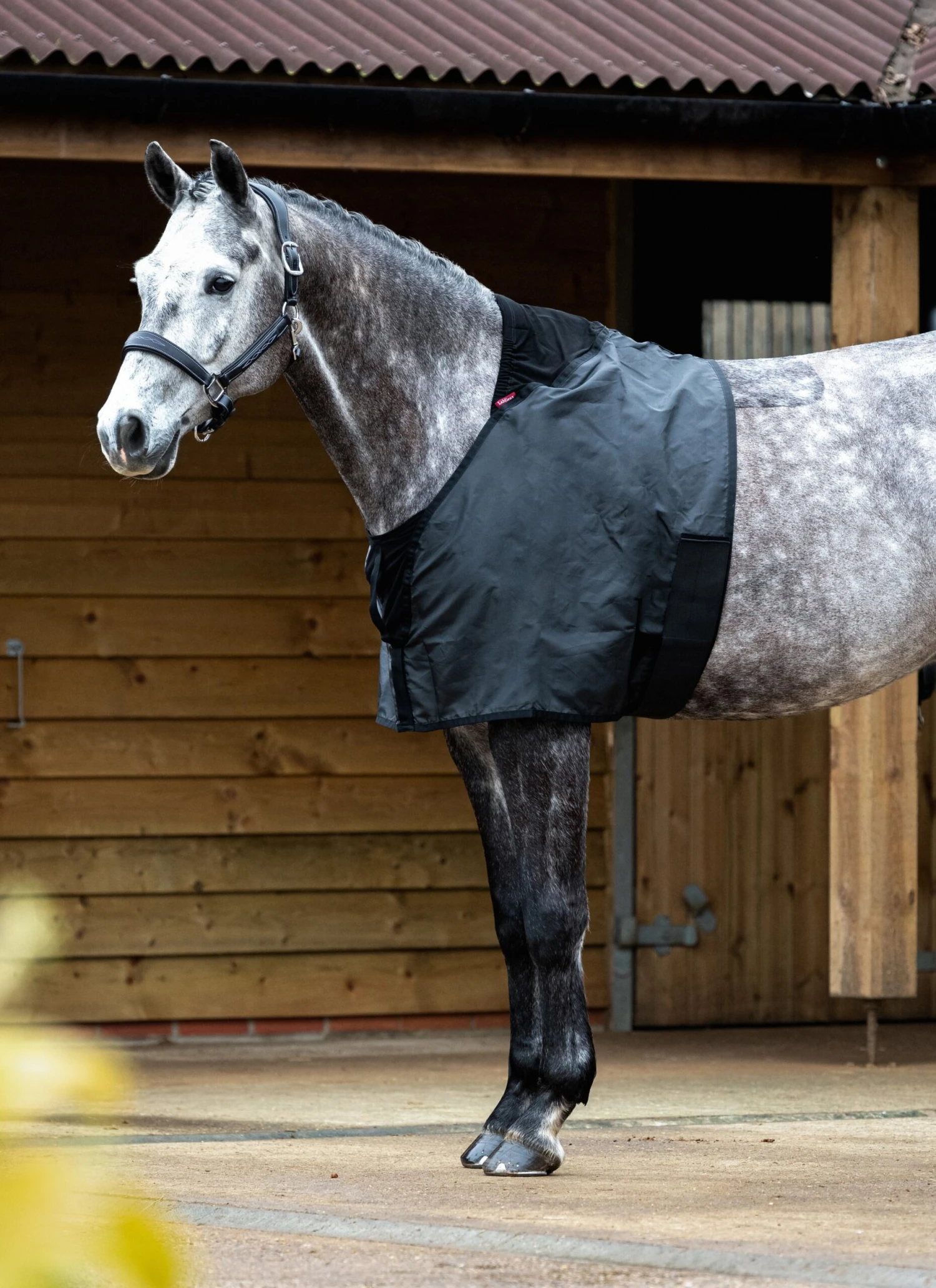 LeMieux Anti Rub Bib 3 LeMieux Anti Rub Bib