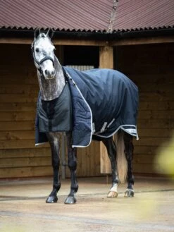 LeMieux Anti Rub Bib 7 LeMieux Anti Rub Bib -Equestrian Supply Store dsc 3420