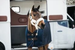 Kentucky Sheepskin Shipping Halter Natural 9 Kentucky Sheepskin Shipping Halter Natural -Equestrian Supply Store e502eeee525627a4b4770730a9ccef20815376a242648637c9a57b52f66e6c49