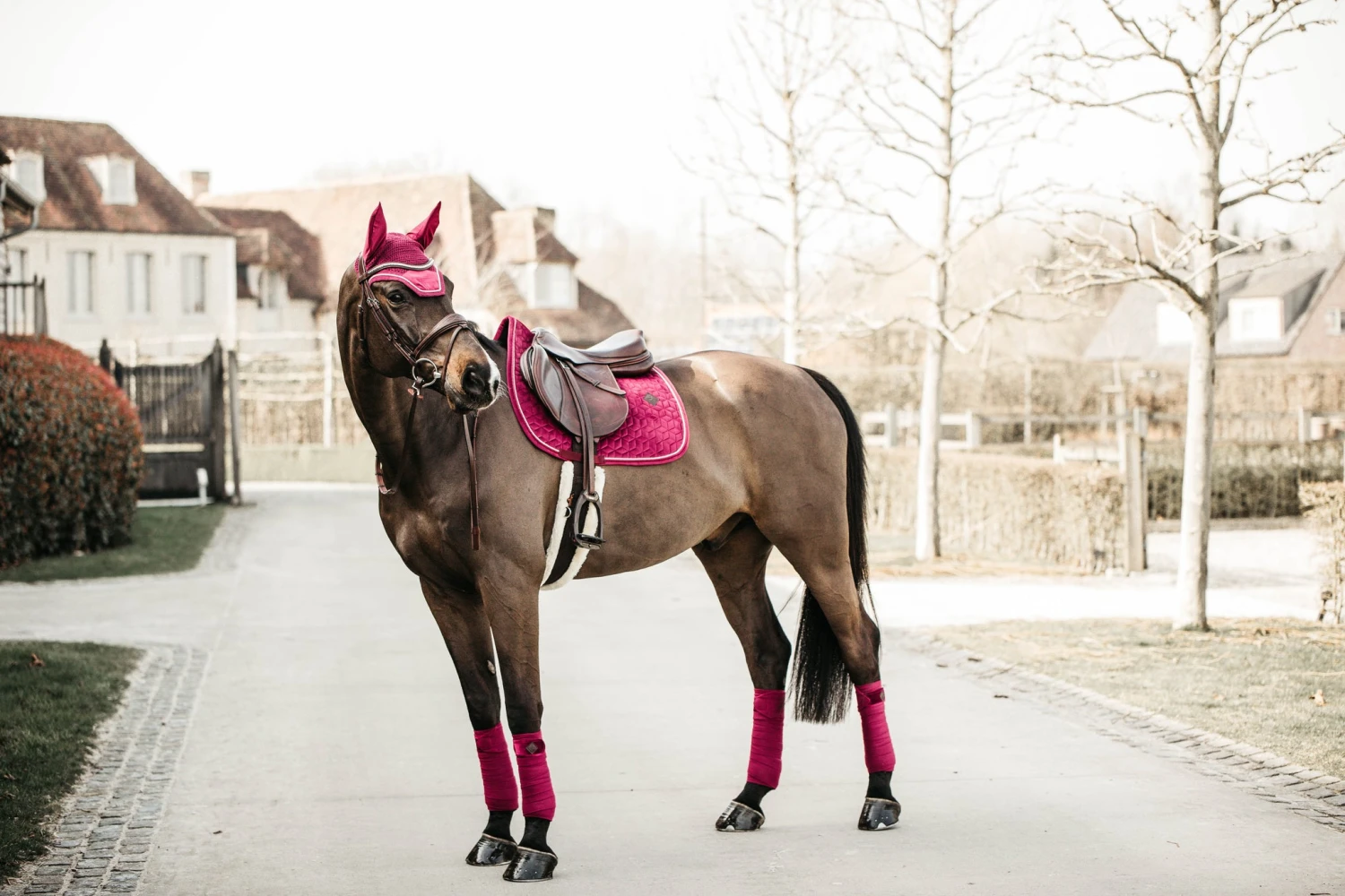 Kentucky Velvet Jump Saddle Pad Fuchsia 6 Kentucky Velvet Jump Saddle Pad Fuchsia - Image 4