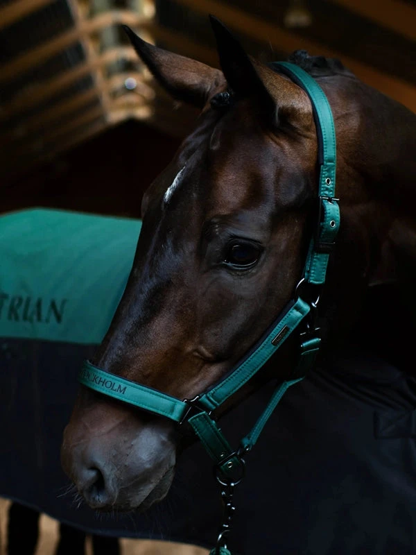 Equestrian Stockholm Halter & Lead Sycamore Green 4 Equestrian Stockholm Halter & Lead Sycamore Green - Image 2