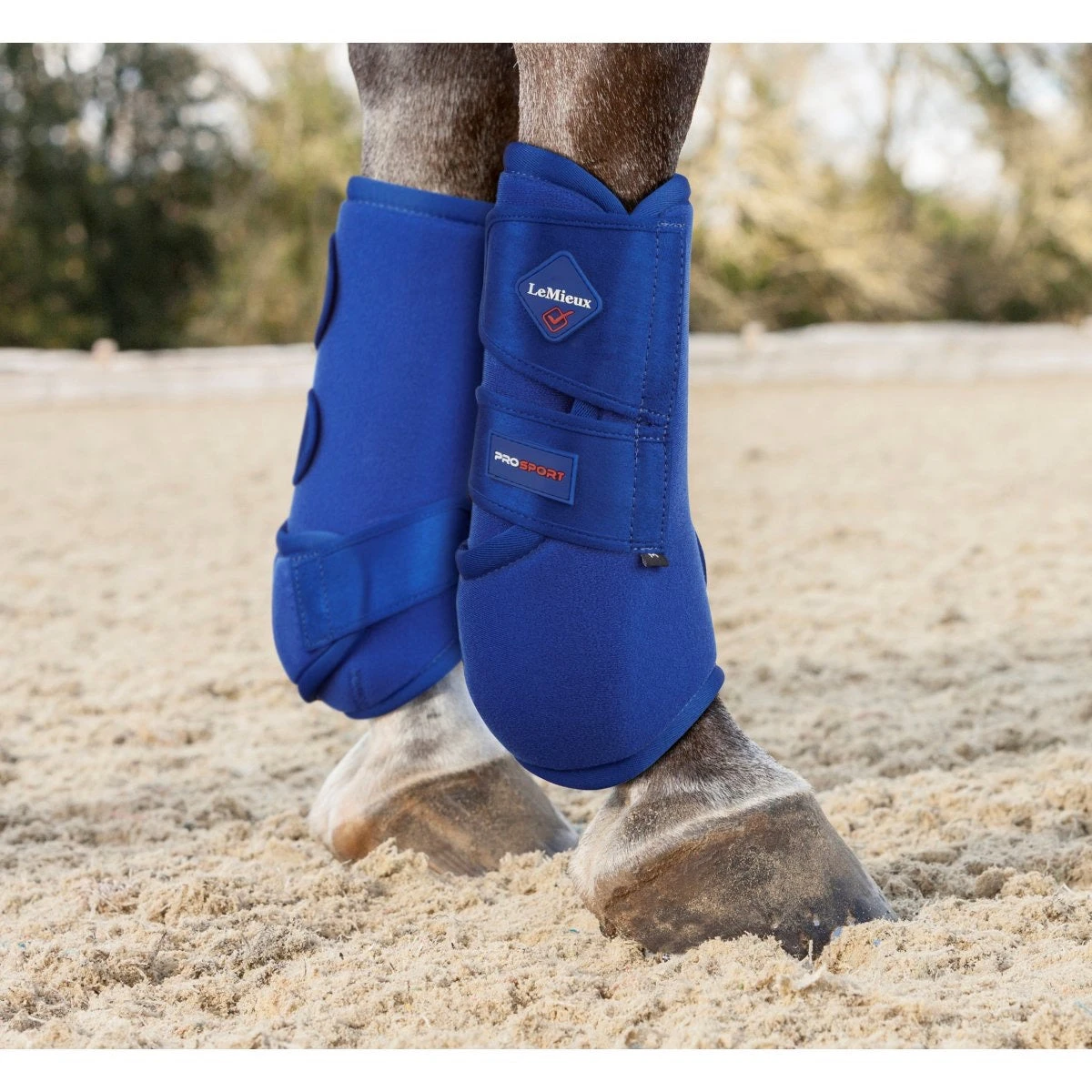 LeMieux Support Boots Benetton Blue 4 LeMieux Support Boots Benetton Blue - Image 2