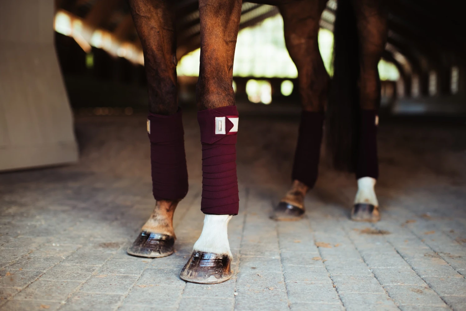 Equestrian Stockholm Bandages Merlot Crystal Gold 3 Equestrian Stockholm Bandages Merlot Crystal Gold