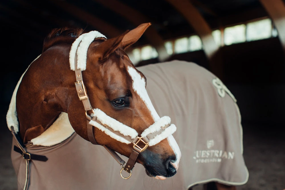 Equestrian Stockholm Fleece Headcollar & Lead Champagne 3 Equestrian Stockholm Fleece Headcollar & Lead Champagne