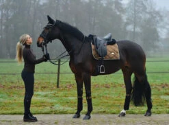 Equestrian Stockholm Dressage Saddle Pad Golden Brass 15 Equestrian Stockholm Dressage Saddle Pad Golden Brass -Equestrian Supply Store image bbb50246 81ff 40d5 a40e 34c35107ed6b