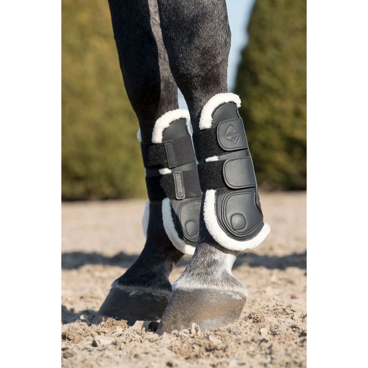LeMieux Capella Comfort Tendon Boots Black 4 LeMieux Capella Comfort Tendon Boots Black - Image 2