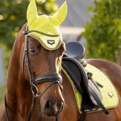 LeMieux Loire Classic Dressage Saddle Pad Kiwi 7 LeMieux Loire Classic Dressage Saddle Pad Kiwi -Equestrian Supply Store lemieux 11 0a82d741 d24b 49cb b221 c8ec348abe56