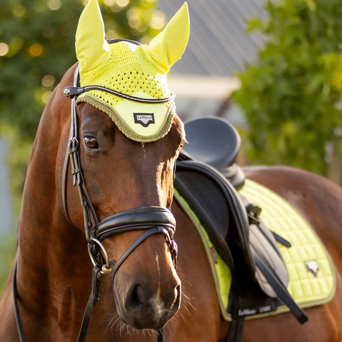 LeMieux Loire Classic Dressage Saddle Pad Kiwi 5 LeMieux Loire Classic Dressage Saddle Pad Kiwi - Image 3