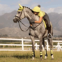 LeMieux Grafter Brushing Boots Kiwi 8 LeMieux Grafter Brushing Boots Kiwi -Equestrian Supply Store lemieux 13 9f2a27ce 2af4 4ed3 a964 bba3f8f3a0f2