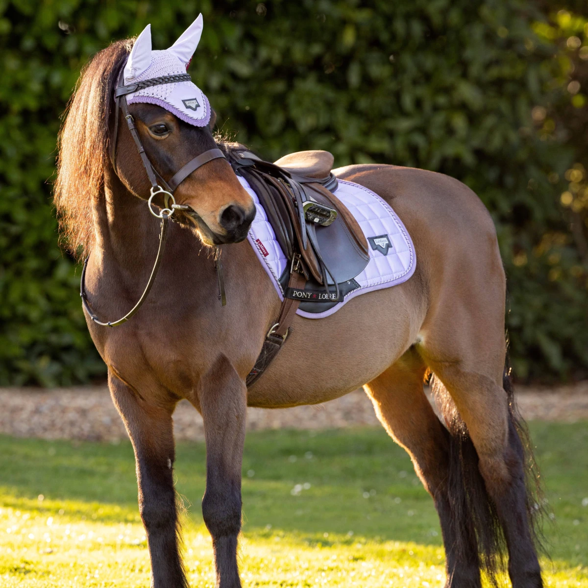 LeMieux Junior Loire Ear Bonnet Wisteria 4 LeMieux Junior Loire Ear Bonnet Wisteria - Image 2