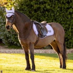 LeMieux Junior Loire Ear Bonnet Wisteria 7 LeMieux Junior Loire Ear Bonnet Wisteria -Equestrian Supply Store lemieux 16 0da11cea 8d28 4bb8 985e d1a29f4c305e