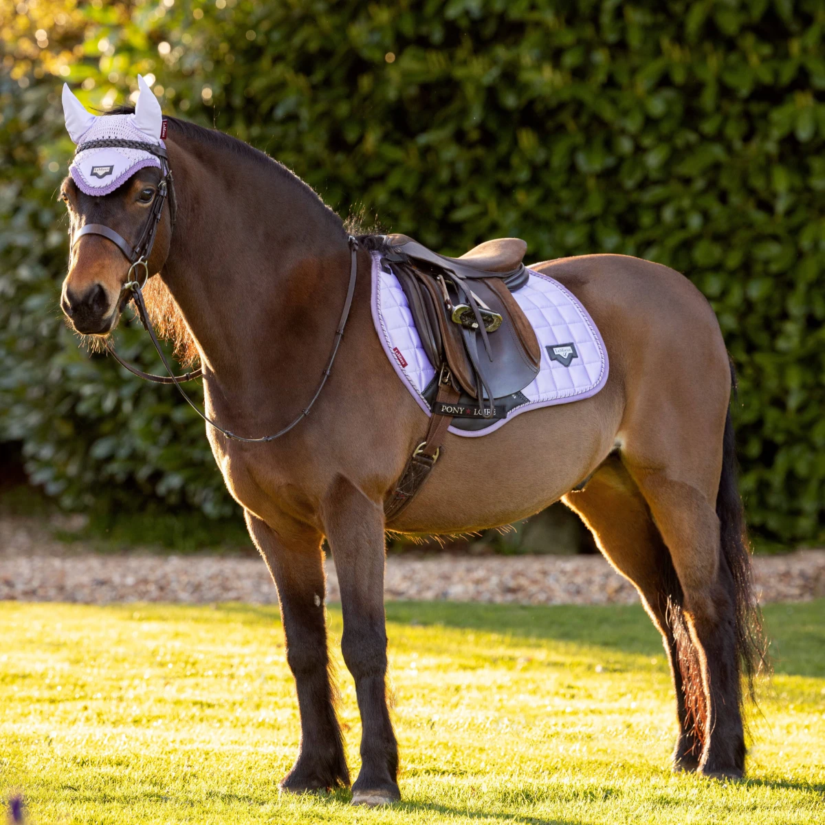 LeMieux Junior Loire Ear Bonnet Wisteria 5 LeMieux Junior Loire Ear Bonnet Wisteria - Image 3