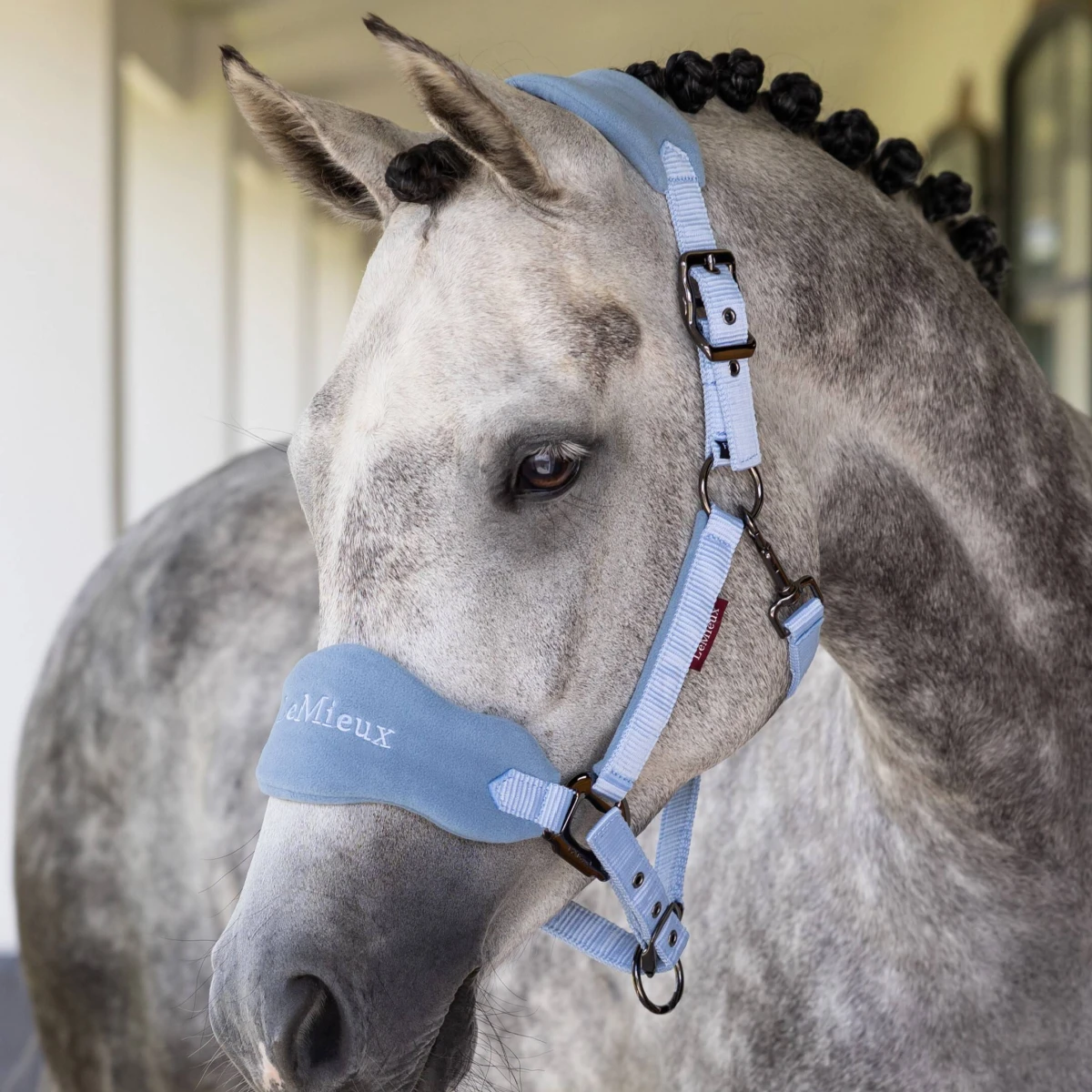 LeMieux Vogue Headcollar & Lead Mist 4 LeMieux Vogue Headcollar & Lead Mist - Image 2