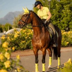 LeMieux Loire Bandages Kiwi 5 LeMieux Loire Bandages Kiwi -Equestrian Supply Store lemieux 9 b2543cad 4a4f 4265 a59e b8940bca763f