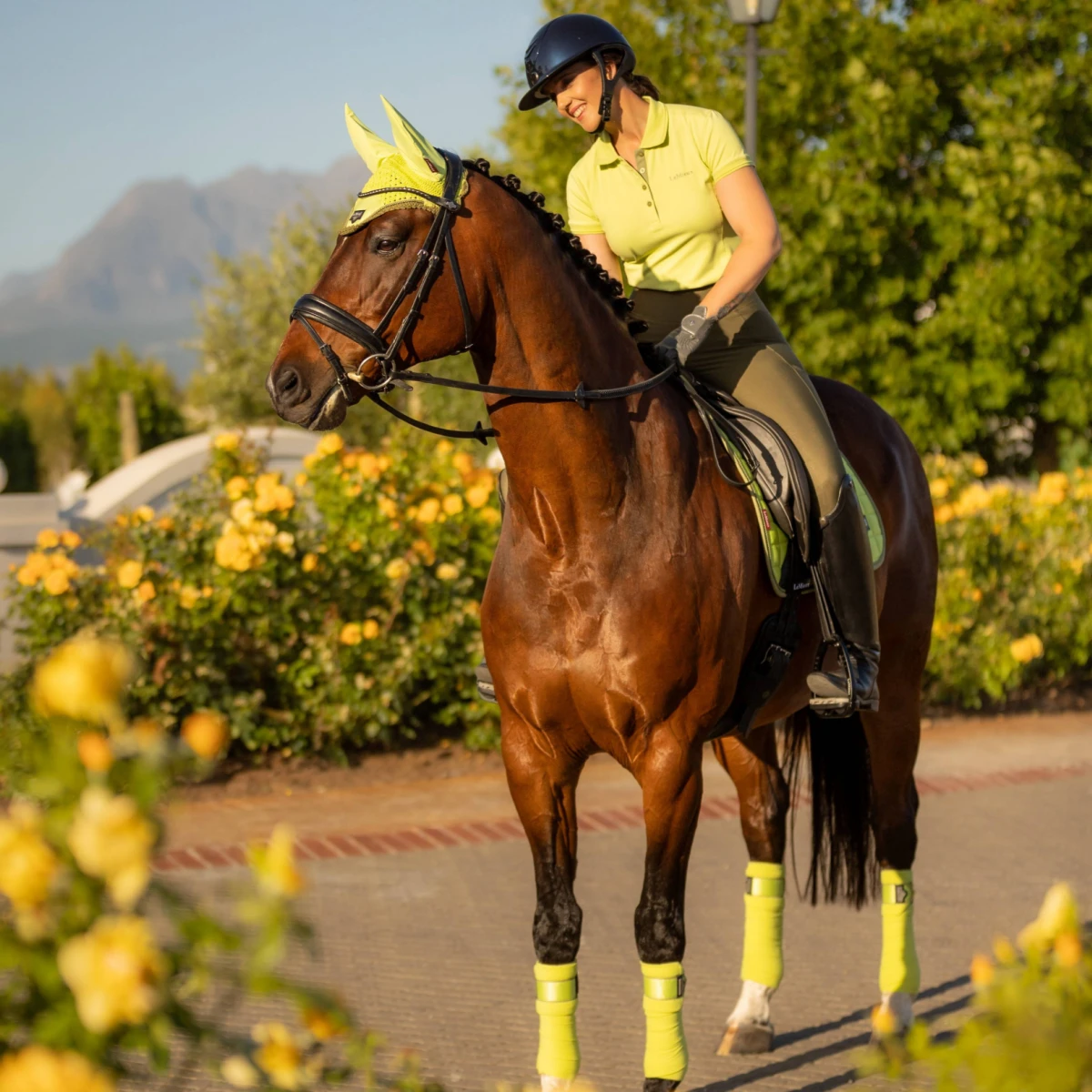 LeMieux Loire Bandages Kiwi 4 LeMieux Loire Bandages Kiwi - Image 2