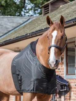 LeMieux Anti Rub Bib 8 LeMieux Anti Rub Bib -Equestrian Supply Store lm antirubbib1 hr3000x4000 2