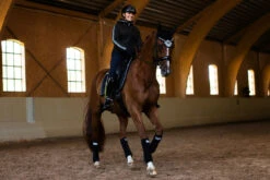 Equestrian Stockholm Ear Bonnet Luminous Black 8 Equestrian Stockholm Ear Bonnet Luminous Black -Equestrian Supply Store luminous black ear net huva fliegenhaube oornetje on2