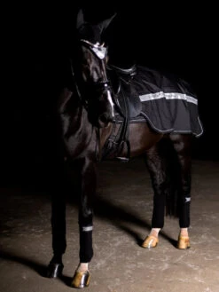 Equestrian Stockholm Exercise Rug Luminous Black -Equestrian Supply Store luminous black exercise rug landtacke trainingsdecke training deken block 2 2 6cccf123 9e6e 49d0 b6e1 d639f100735c