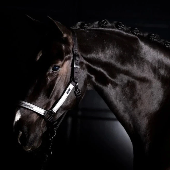 Equestrian Stockholm Halter & Lead Rope Luminous Black 3 Equestrian Stockholm Halter & Lead Rope Luminous Black