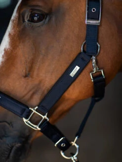 Equestrian Stockholm Clean Halter & Lead Rope Modern Tech Navy -Equestrian Supply Store modern tech navy halter grimma halfter halster on1