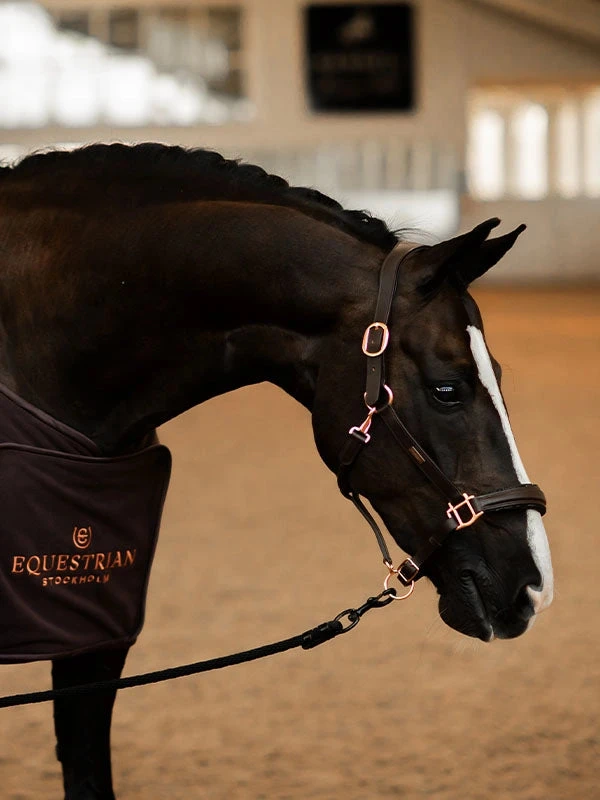 Equestrian Stockholm Anatomic Leather Halter Moonless Night 3 Equestrian Stockholm Anatomic Leather Halter Moonless Night