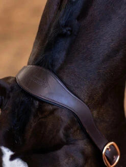 Equestrian Stockholm Anatomic Leather Halter Moonless Night 7 Equestrian Stockholm Anatomic Leather Halter Moonless Night -Equestrian Supply Store moonless night halter laedergrimma lederhalfter halster on2