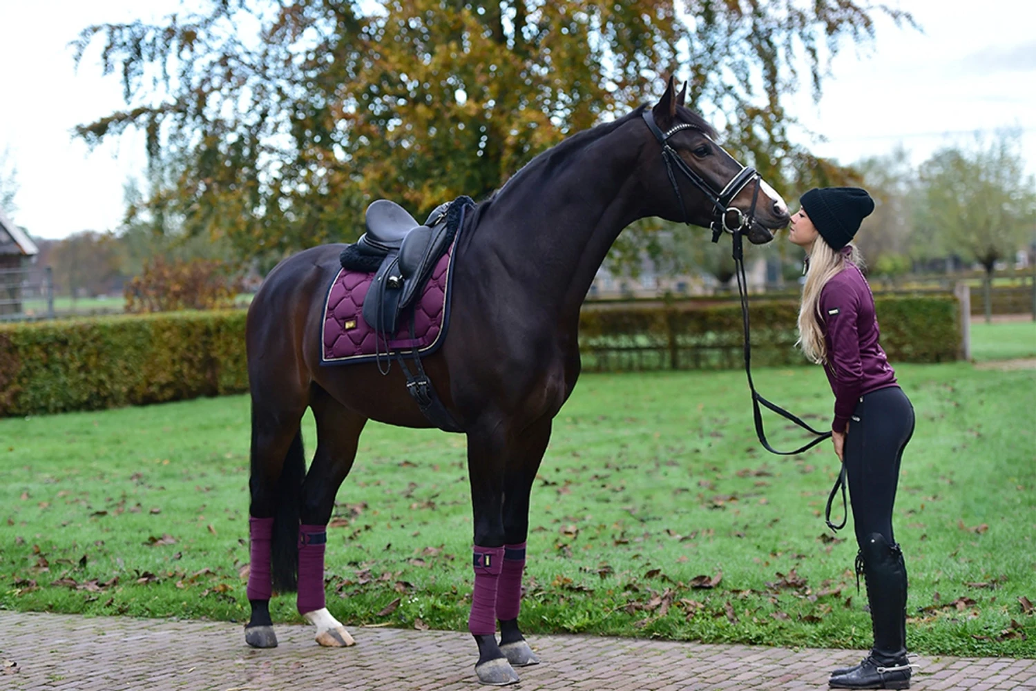 Equestrian Stockholm Bandages Purple Gold 7 Equestrian Stockholm Bandages Purple Gold - Image 5