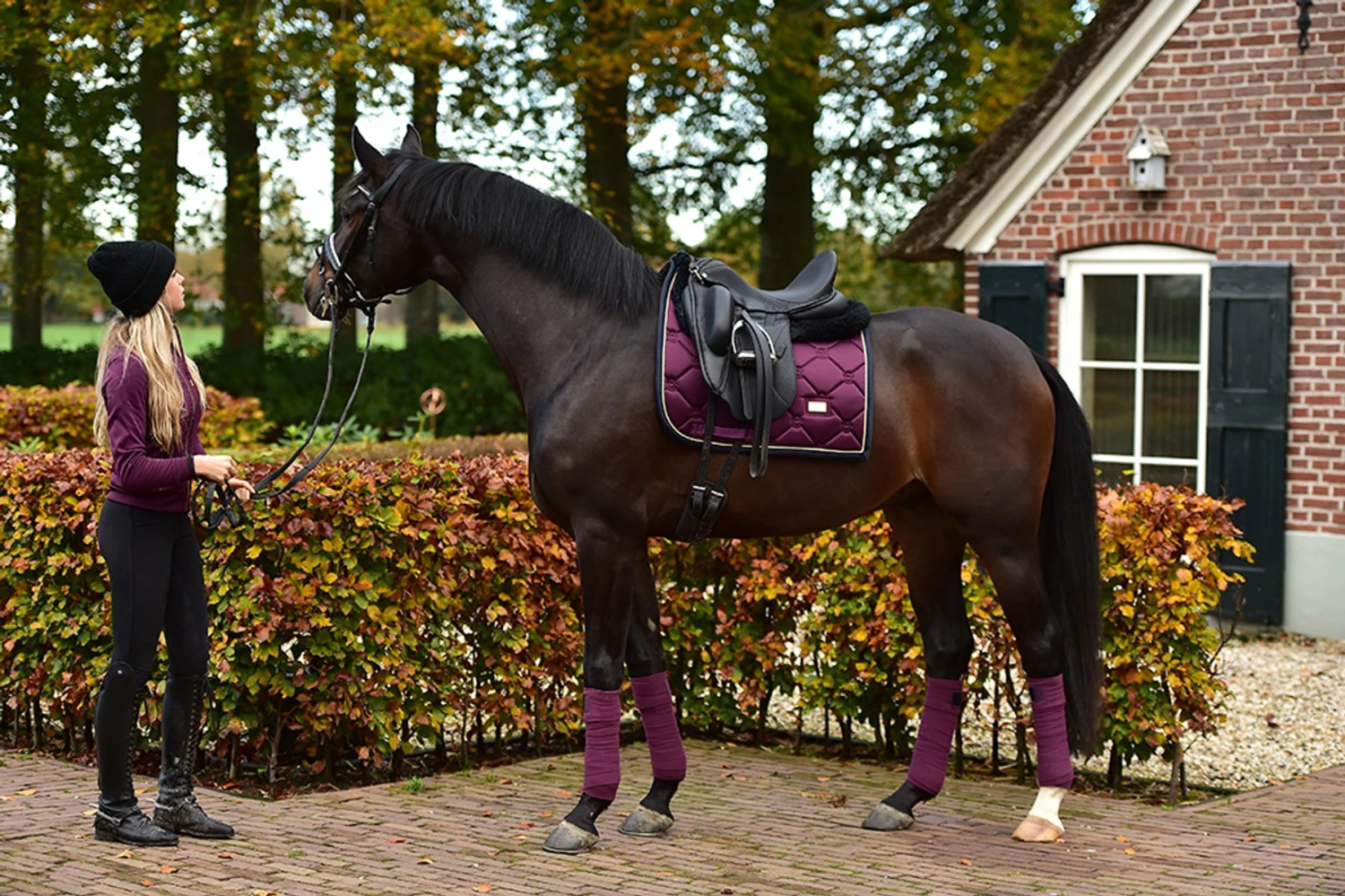 Equestrian Stockholm Bandages Purple Gold 6 Equestrian Stockholm Bandages Purple Gold - Image 4