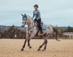 Equestrian Stockholm Ear Bonnet Steel Blue -Equestrian Supply Store steelblue jumpingset esstockholm 0d0d38ac 7dff 4d38 8ec7 974b5b9b6d84