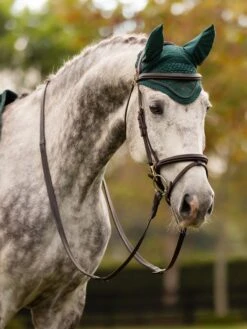 LeMieux Classic Ear Bonnet Spruce -Equestrian Supply Store tracyrobertson aw23 188 copy